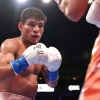 May oyi janglarga to‘la: MMA va boks yulduzlari tomoshabinlarni xushnud qiladi!