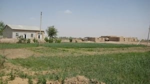 O‘zbekistonda yer uchastkalari bo‘yicha yangi qonun qabul qilindi