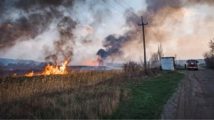 Ukrainadagi urush va ekologik falokatlar: ekotsid yangi turdagi jinoyat sifatida