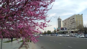 Aprel oyida ob-havo qanday bo‘lishi kutilmoqda?
