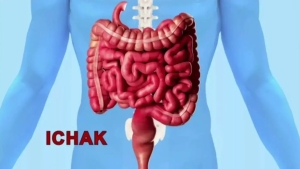 Ichak yaxshi ishlamasa, sizning kayfiyatingiz ham buziladi!
