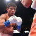 May oyi janglarga to‘la: MMA va boks yulduzlari tomoshabinlarni xushnud qiladi!