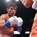 May oyi janglarga to‘la: MMA va boks yulduzlari tomoshabinlarni xushnud qiladi!