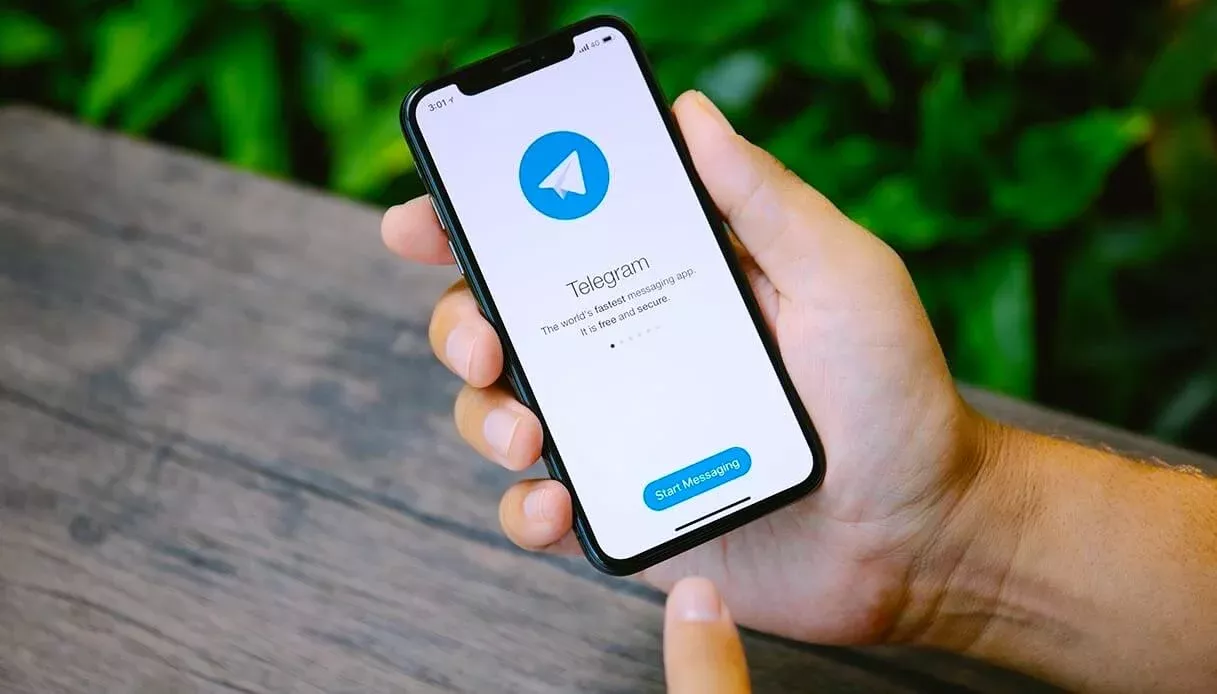 Telegram qidiruvda ham reklama ko‘rsata boshlaydi