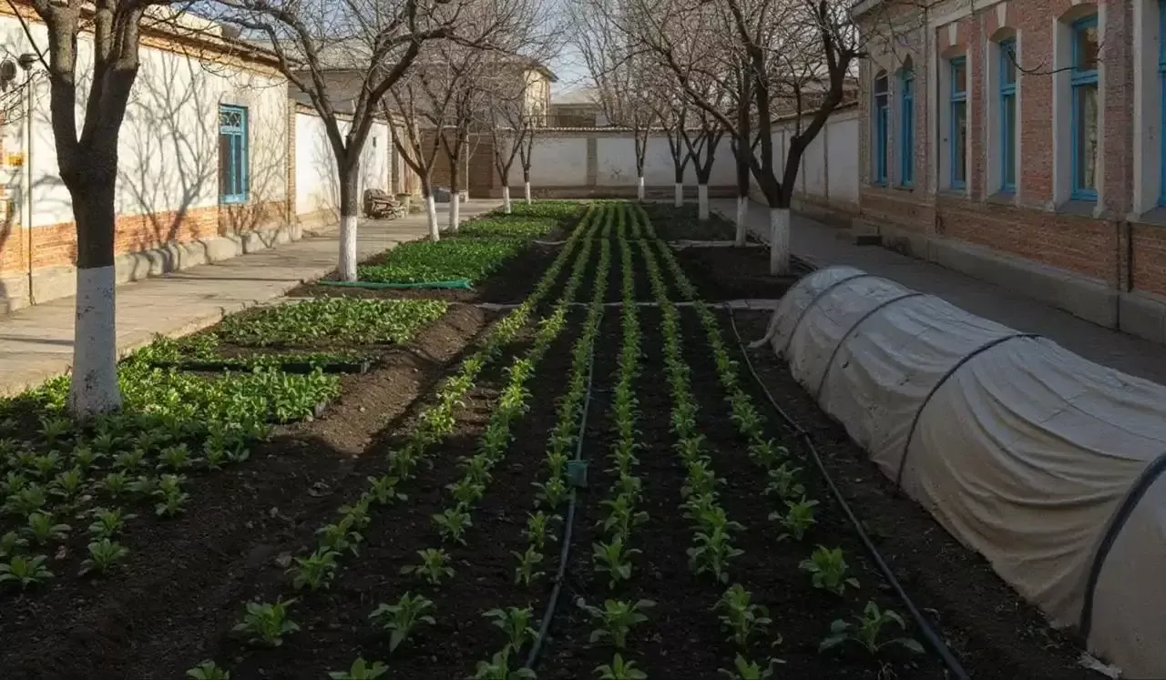 Ekin ekilmagan yerlar boshqalarga topshiriladi