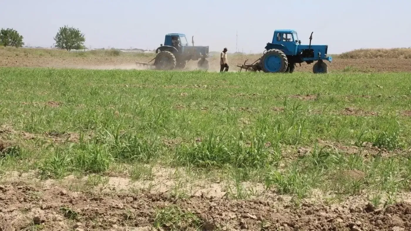 Qishloq xo‘jaligiga mo‘ljallangan yerlarni ijaraga berish tartibi o‘zgartirildi